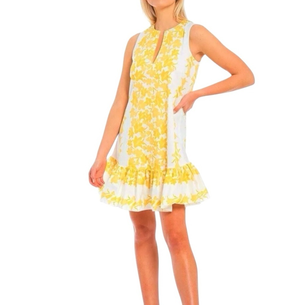 Sachin & Babi Amelia Dress Floral Print Cotton Poplin Flounce Swing